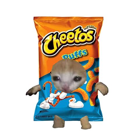 cheetos cat meme